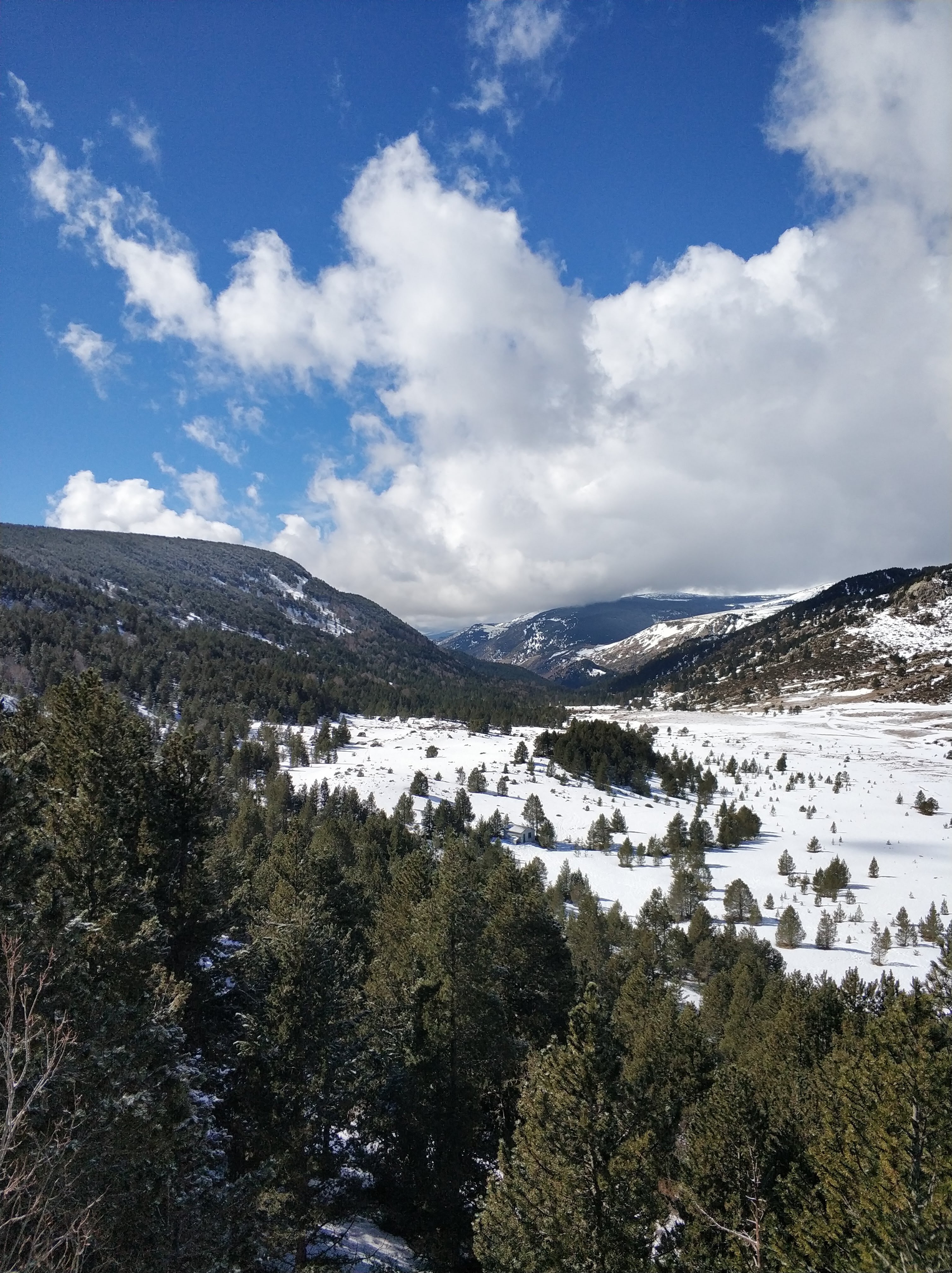 Photo n° 42 de l'avis de Carlos.n fait le 08/03/2019 à 20:38