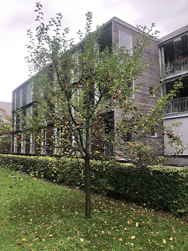 Rezensionen über Jakober Gärten in Glarus Nord - Gartenbauer