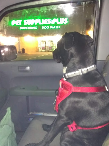 Pet Supply Store «Pet Supplies Plus», reviews and photos, 2471 E State St, Hermitage, PA 16148, USA