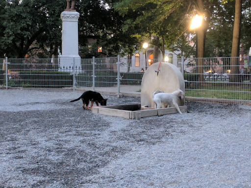 Dog Park «Church Square Park Dog Park», reviews and photos, 401-449 Willow Ave, Hoboken, NJ 07030, USA