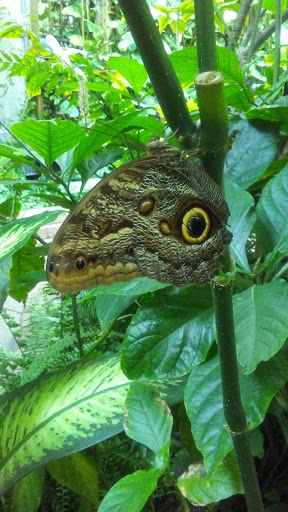 Animal Park «Detroit Zoo Safari Station Exit», reviews and photos, Ludlow Pl, Huntington Woods, MI 48070, USA