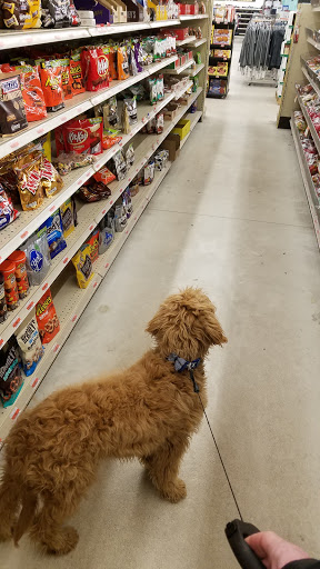 Department Store «Mills Fleet Farm», reviews and photos, 3730 36th St S, Fargo, ND 58104, USA