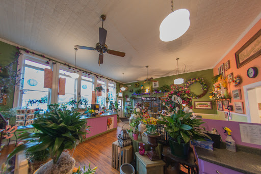 Florist «The Posie Peddler», reviews and photos, 92 West Ave, Saratoga Springs, NY 12866, USA