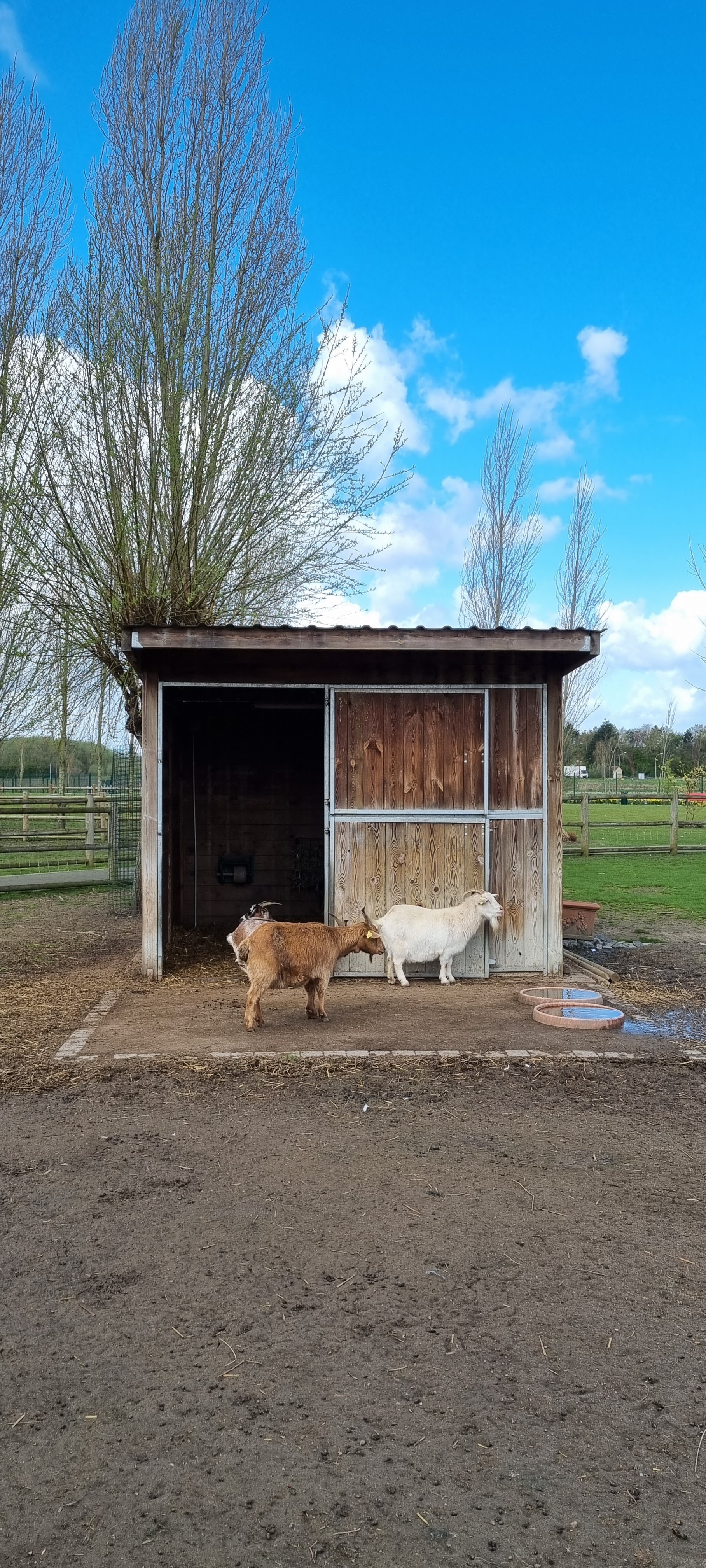 Photo n° 6 de l'avis de S.F.u fait le 11/04/2023 à 16:06