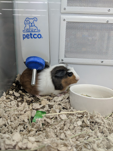 Pet Supply Store «Petco Animal Supplies», reviews and photos, 6181 Old Dobbin Ln #800, Columbia, MD 21045, USA