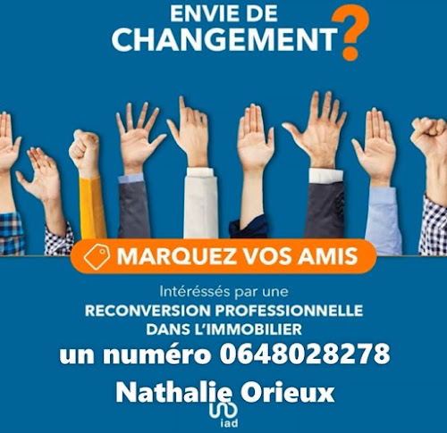 Nathalie Orieux-Conseillère en immobilier-IAD FRANCE à Bouaye