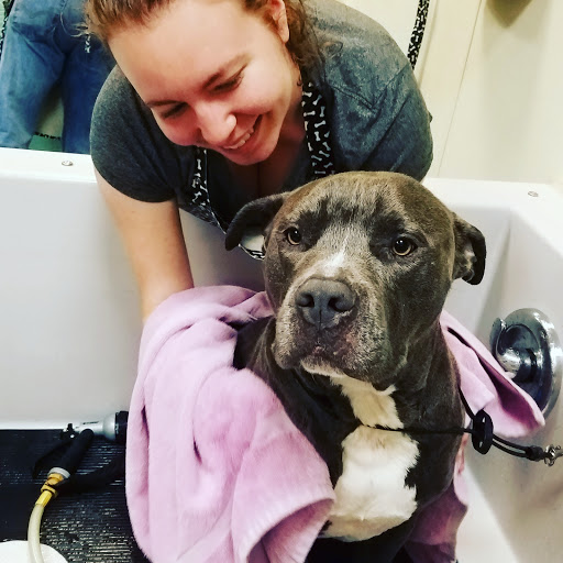 Pet Supply Store «Holistic Pet», reviews and photos, 13567 NW Cornell Rd, Portland, OR 97229, USA