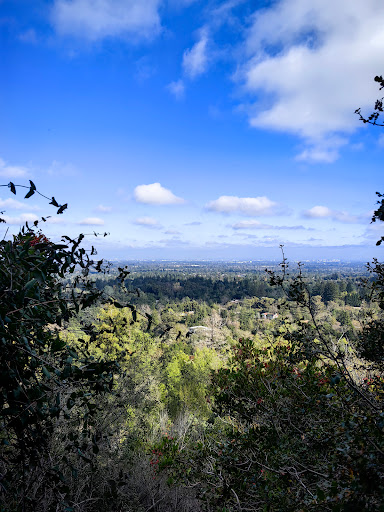 Montalvo Arts Center image