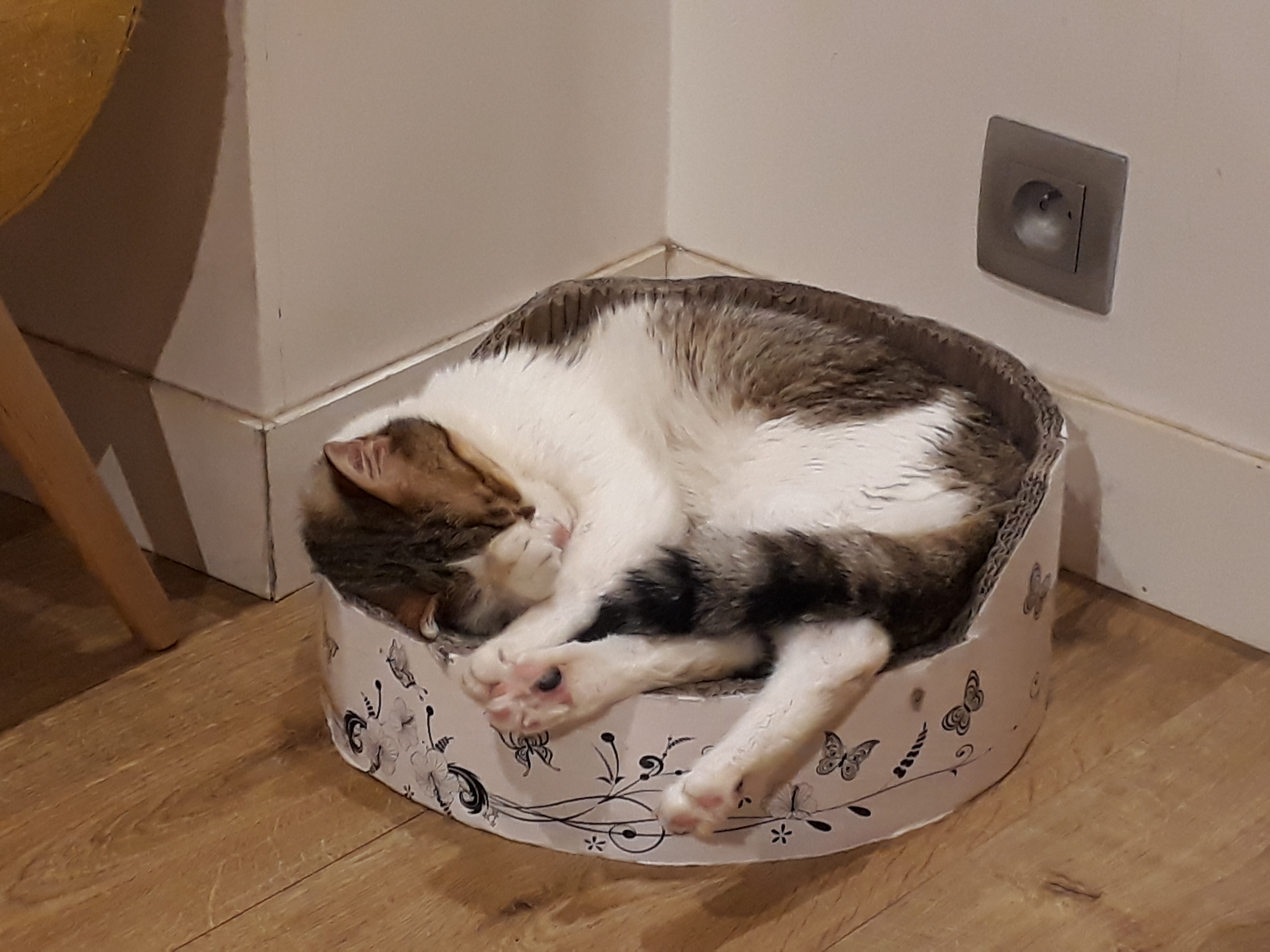 Photo n° 4 de l'avis de Louna.a fait le 02/09/2018 à 08:06