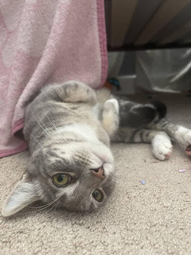 1560 Hamner Ave, Norco, CA 92860, USA