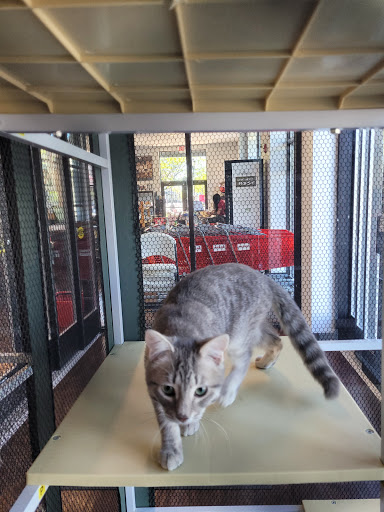 Pet Store «Pets Plus - Lansdale», reviews and photos, 555 S Broad St, Lansdale, PA 19446, USA