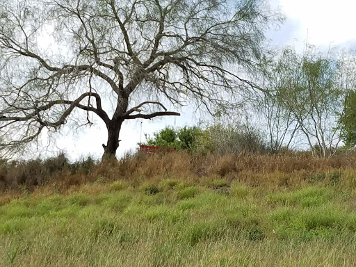 Park «Arroyo Park», reviews and photos, 1101 E New Hampshire St, Harlingen, TX 78550, USA
