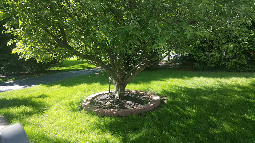 Park «Memorial Field Park», reviews and photos, 46 Lower Rd, Linden, NJ 07036, USA