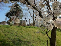 石手川公園
