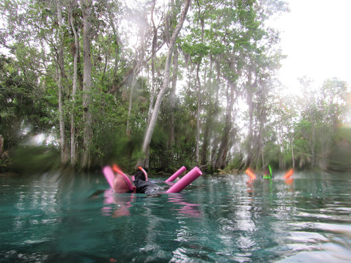 Tourist Attraction «Fun 2 Dive - Swim with Manatees», reviews and photos, 135 NE 3rd St, Crystal River, FL 34429, USA