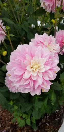 Canoe & Kayak Store «Olympic Outdoor Center», reviews and photos, 32379 N Rainier Ave, Port Gamble, WA 98364, USA