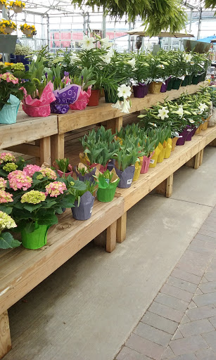 Garden Center «English Gardens», reviews and photos, 44850 Garfield Rd, Charter Twp of Clinton, MI 48038, USA