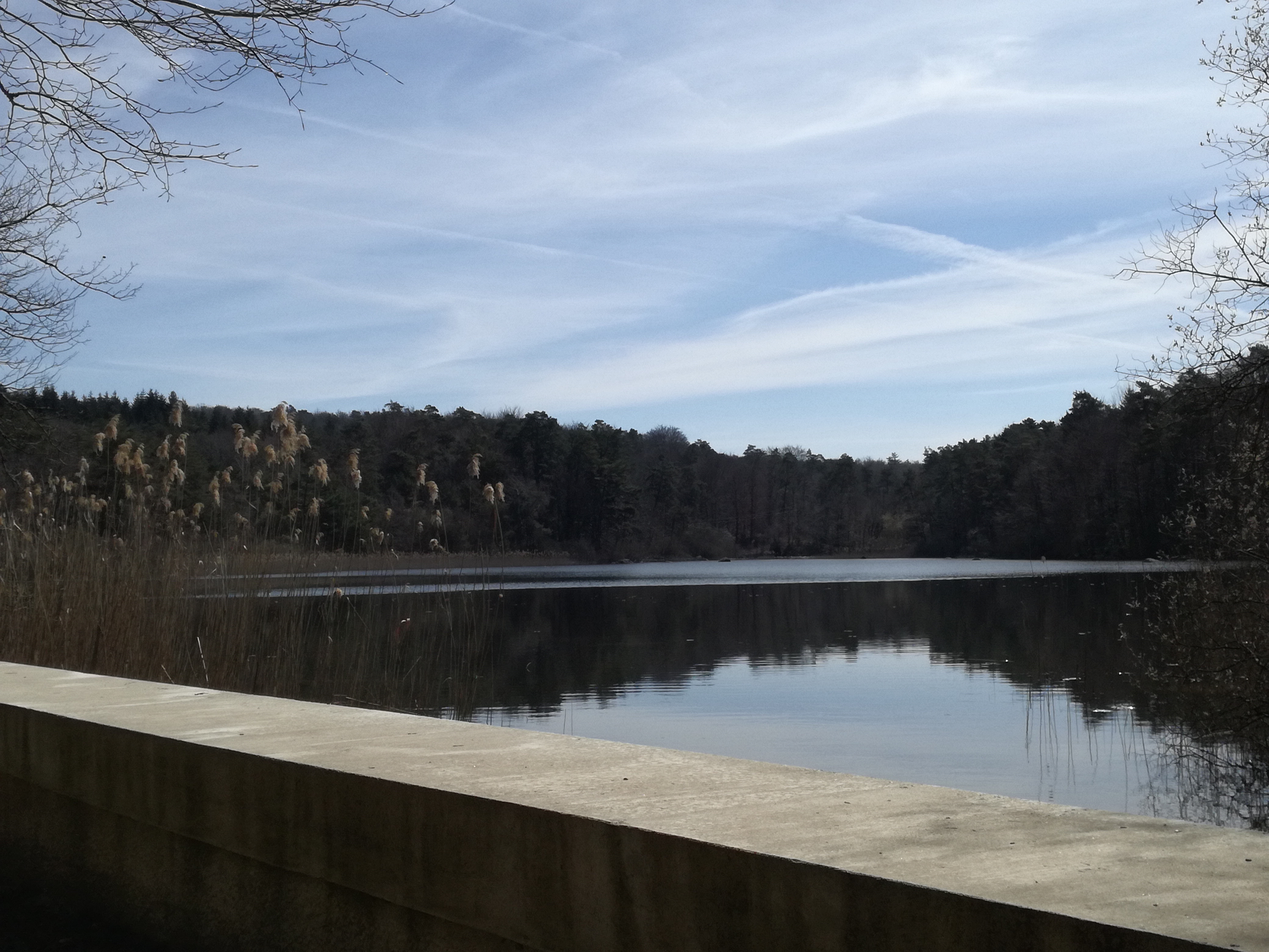 Photo n° 2 de l'avis de Mike.M fait le 23/03/2019 à 19:38