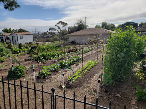 Organic farm Chula Vista