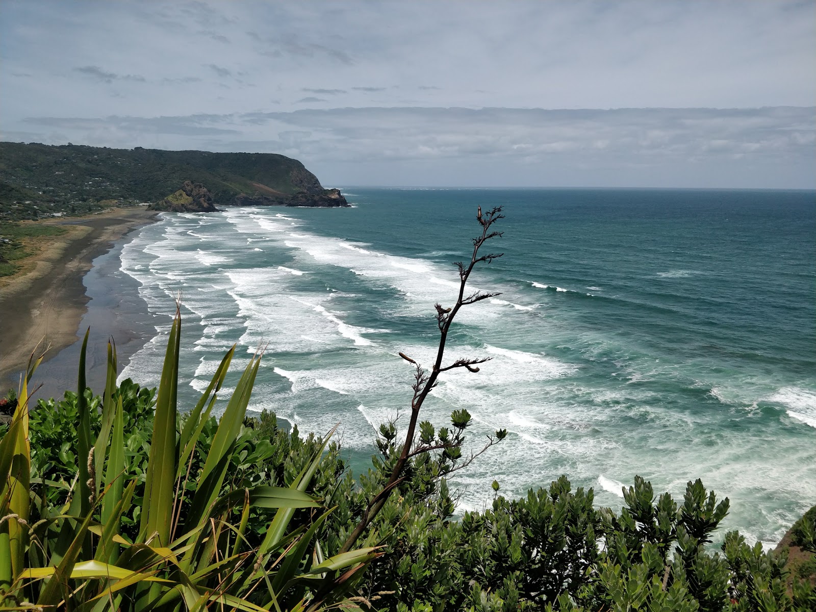 Photo of North Piha Beach located in natural area