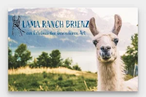 Lama Ranch Brienz image