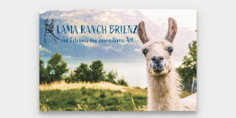 Lama Ranch Brienz