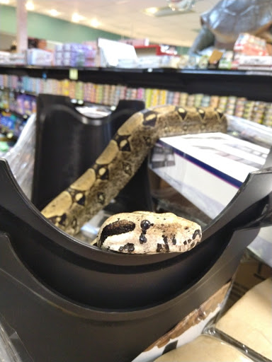 Pet Supply Store «Living Things», reviews and photos, 3437 PA-309, Orefield, PA 18069, USA