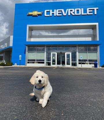 Chevrolet Dealer «Martin Chevrolet», reviews and photos, 5220 Northwest Hwy, Crystal Lake, IL 60014, USA