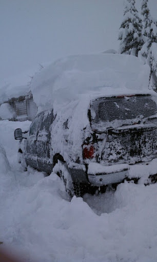 Diesel Engine Repair Service «PPS Diesel and Automotive repair and performance», reviews and photos, 1124 Desirable Ln, Humble, TX 77346, USA