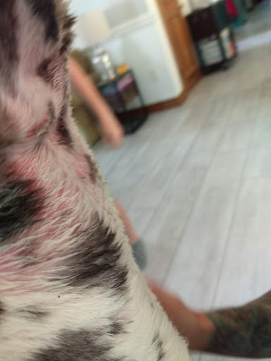 Pet Supply Store «Petco Animal Supplies», reviews and photos, 6720 Fox Centre Pkwy, Gloucester Courthouse, VA 23061, USA