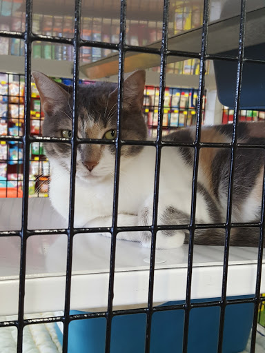 Pet Supply Store «Pet Supermarket», reviews and photos, 800 Sebring Square.., Sebring, FL 33870, USA