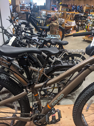 Camping Store «REI», reviews and photos, 1338 San Pablo Ave, Berkeley, CA 94702, USA