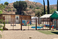 Snuggle puppy hotel - Photo 3 - Car repair in Redlands, CA, San Bernardino