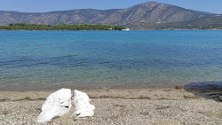 Photo de Evangelistria Beach avec un niveau de propreté de très propre