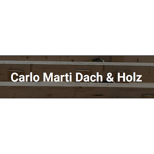 Carlo Marti Dach und Holz - Delsberg
