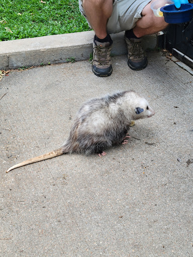 Zoo «Kansas Wildlife Exhibit», reviews and photos, 600-630 Nims N, Wichita, KS 67203, USA