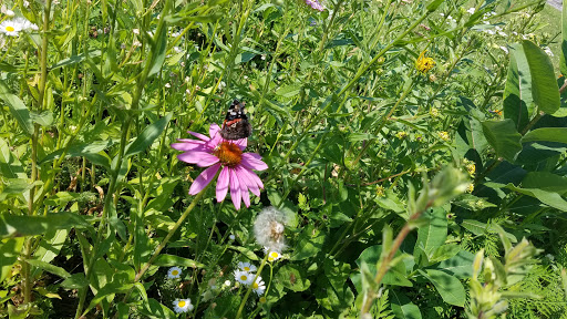 Park «Coloma Township Park District», reviews and photos, 510 E 11th St, Rock Falls, IL 61071, USA