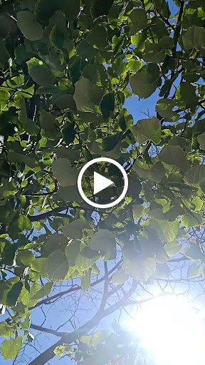 Stadium «Michigan Stadium», reviews and photos, 1201 S Main St, Ann Arbor, MI 48104, USA