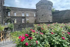 Schlossgarten, Andernach image