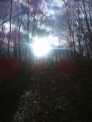 Whitestone Cliffs Trail - photo 21