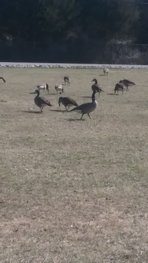 Park «Malaga Lake Park», reviews and photos, 445 Malaga Park Dr, Malaga, NJ 08328, USA