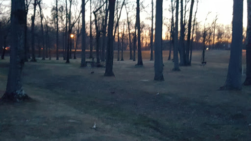 Public Golf Course «Calvert Road Park Disc Golf», reviews and photos, Campus Drive, College Park, MD 20740, USA