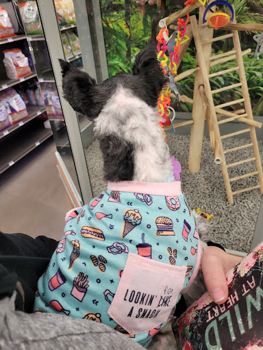 Pet Supply Store «Petco Animal Supplies», reviews and photos, 19767 Haynes Road, Catoosa, OK 74421, USA