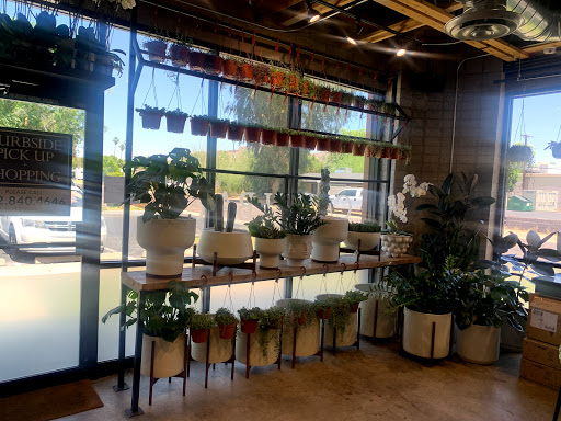 Florist «Camelback Flowershop», reviews and photos, 4108 E Indian School Rd, Phoenix, AZ 85018, USA