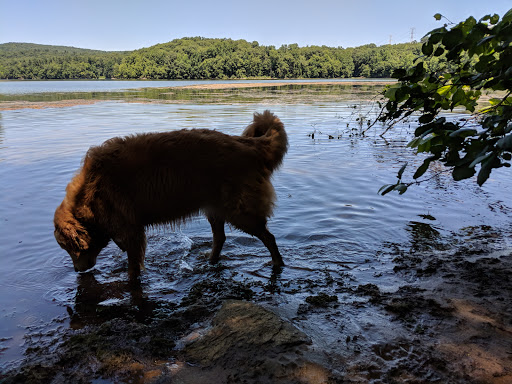 Nature Preserve «Kitchawan Preserve», reviews and photos, 712 Kitchawan Rd, Ossining, NY 10562, USA