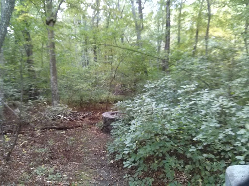  «Mt Hope Farm», reviews and photos, 250 Metacom Ave, Bristol, RI 02809, USA