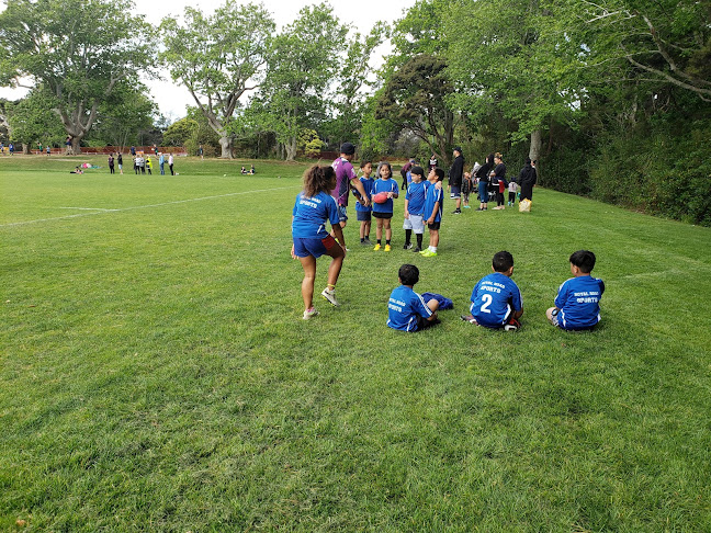 Massey Amateur Athletics & Harriers Club - Auckland