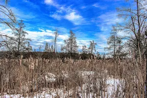 Goose Lake Drumlins State Natural Area image