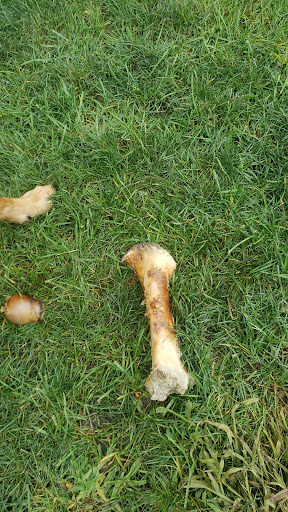 Pet Supply Store «Petco Animal Supplies», reviews and photos, 16710 Royalton Rd, Strongsville, OH 44136, USA