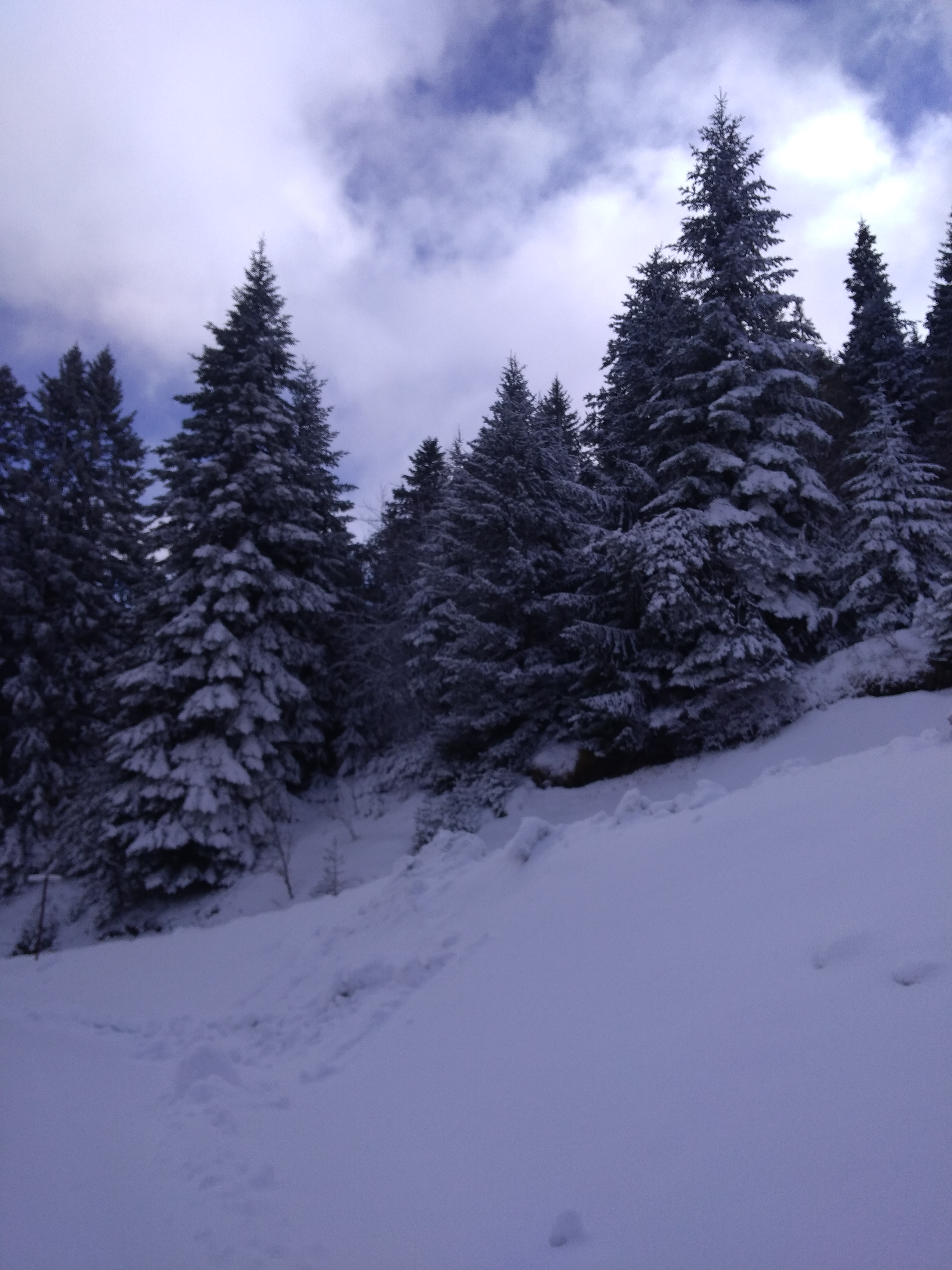 Photo n° 2 de l'avis de Bastien.a fait le 24/12/2019 à 07:51